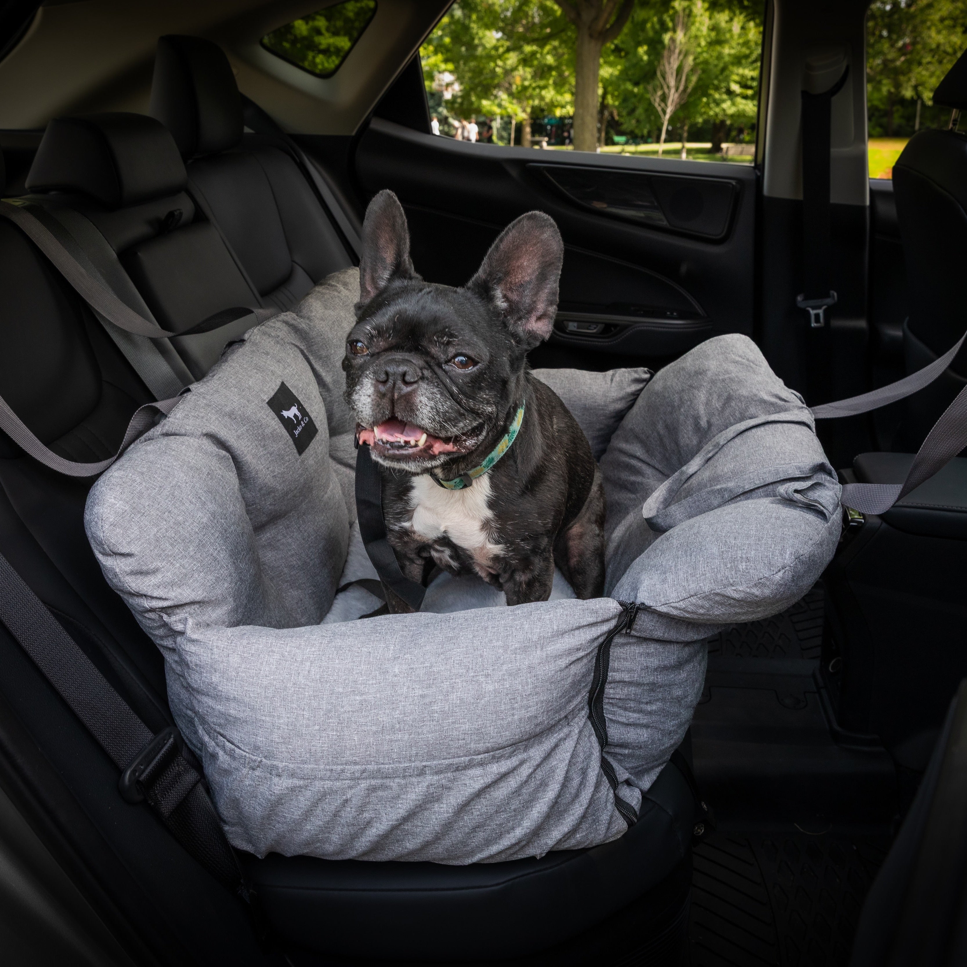 Dog sitting in a gray jacko & co pet seat in a car with trees outside