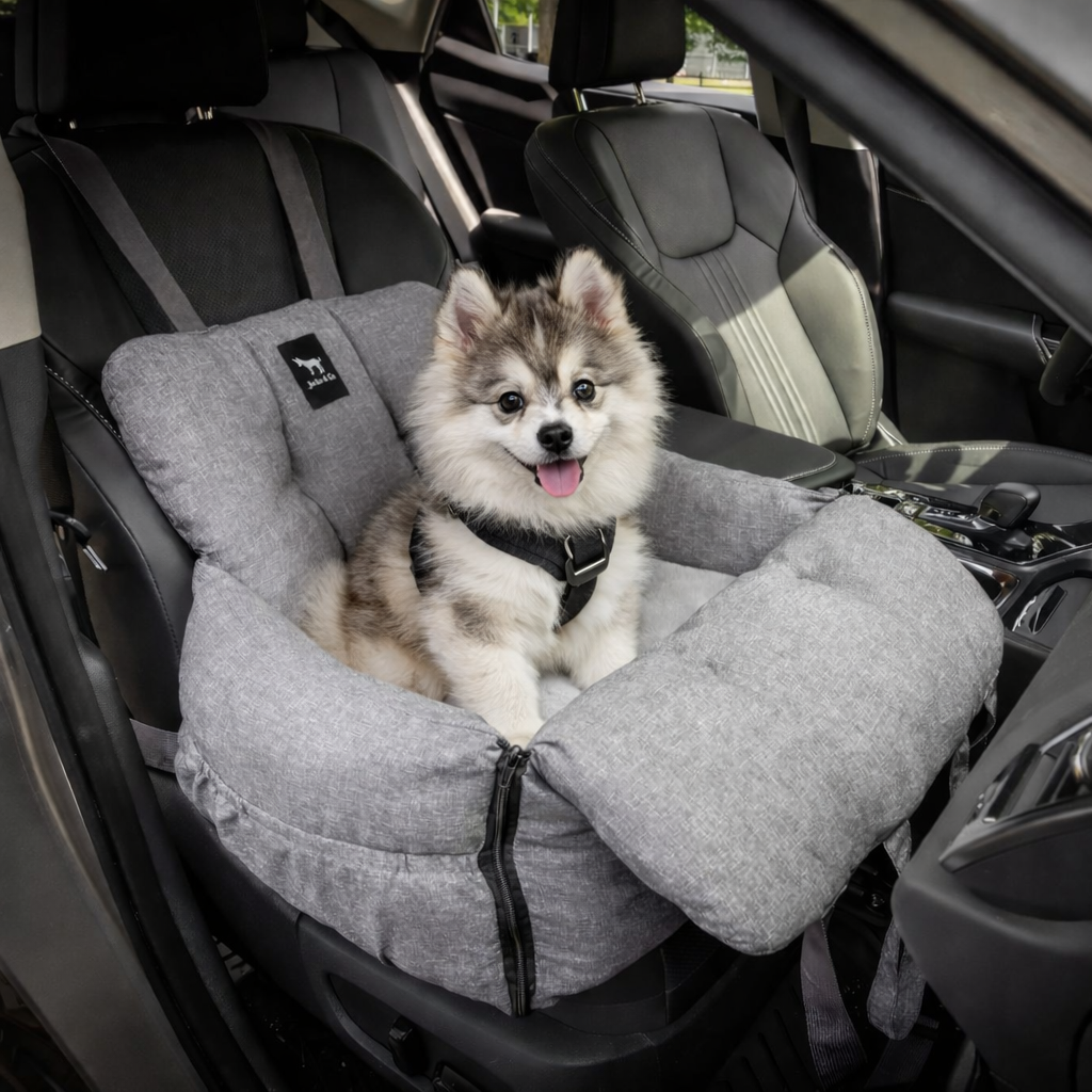 dog car seat