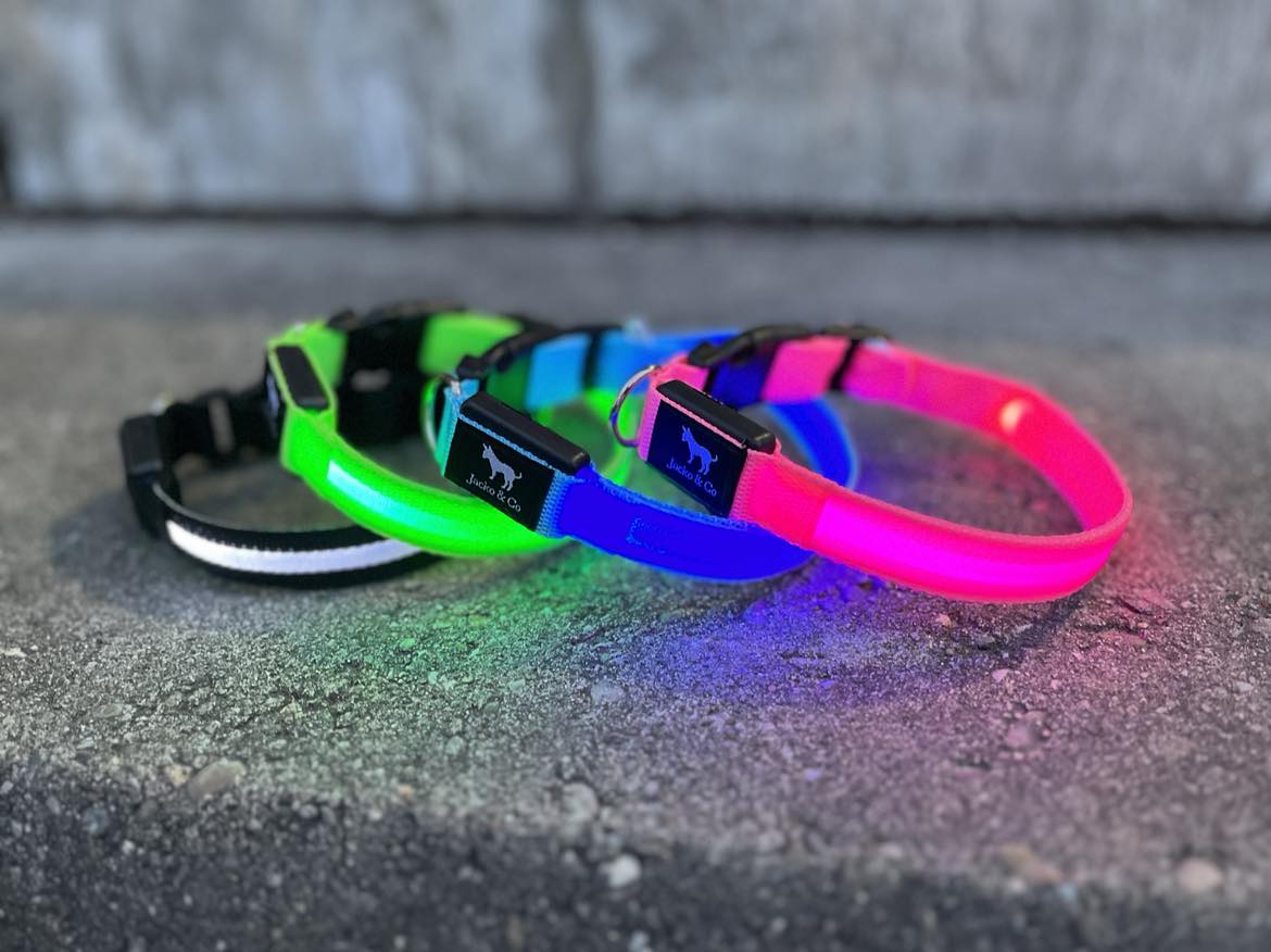 LED Dog Collars