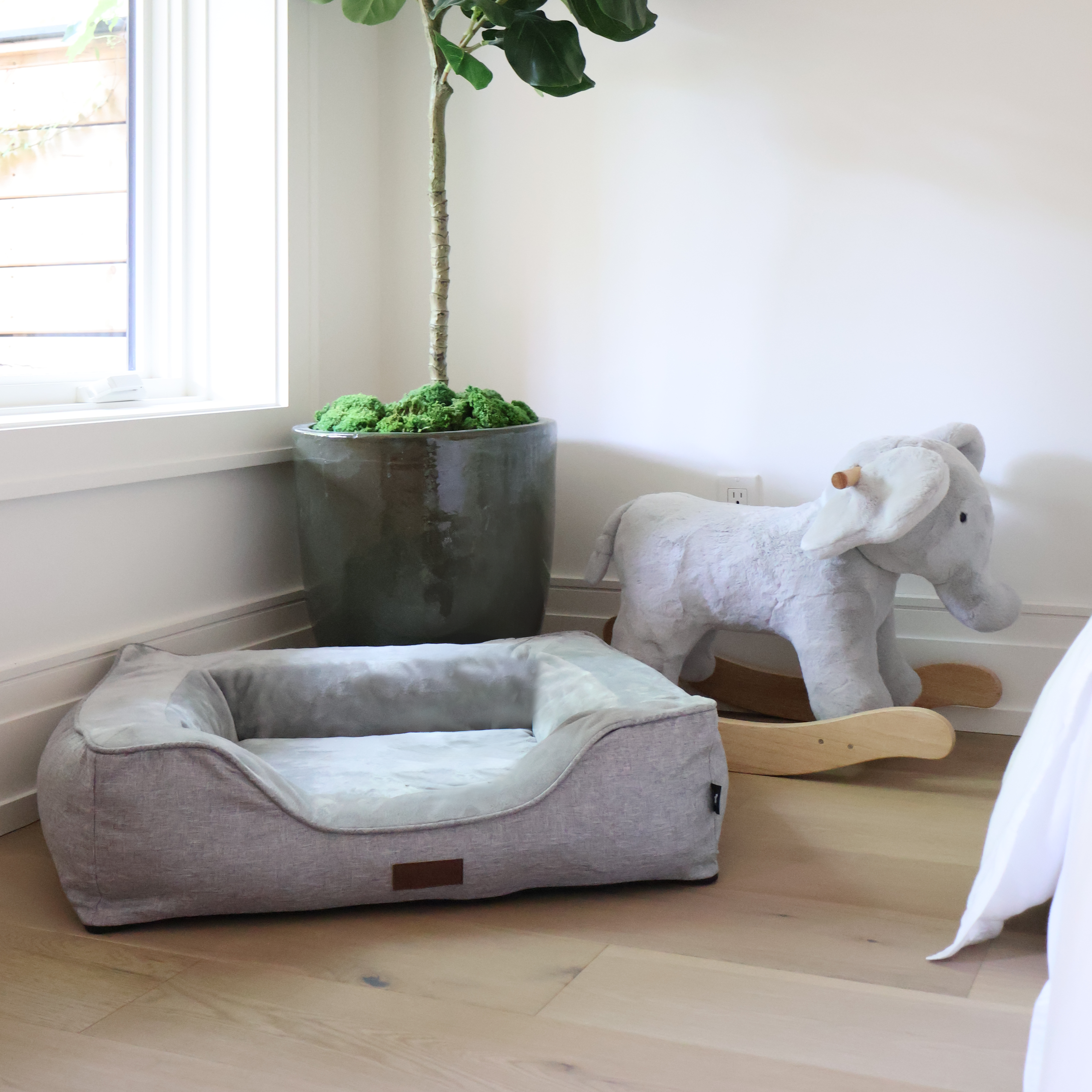 Jack and Co dog bed grey color