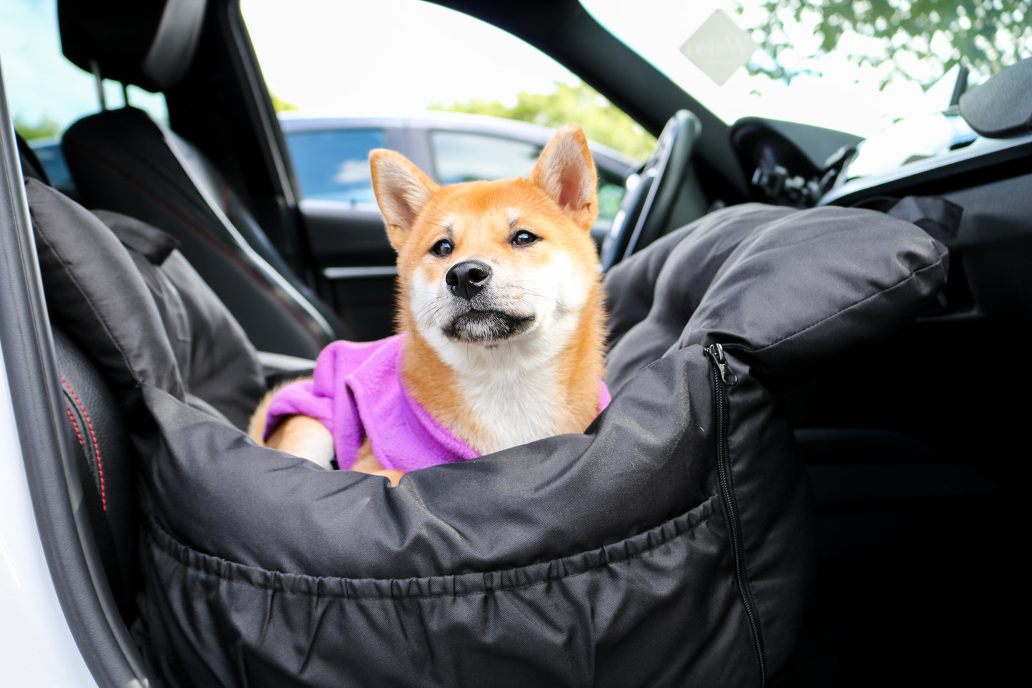 Premium Dog Car Seat