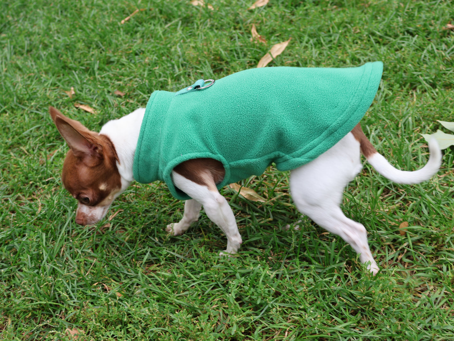 Dog Fleece Sweater with Leash Ring