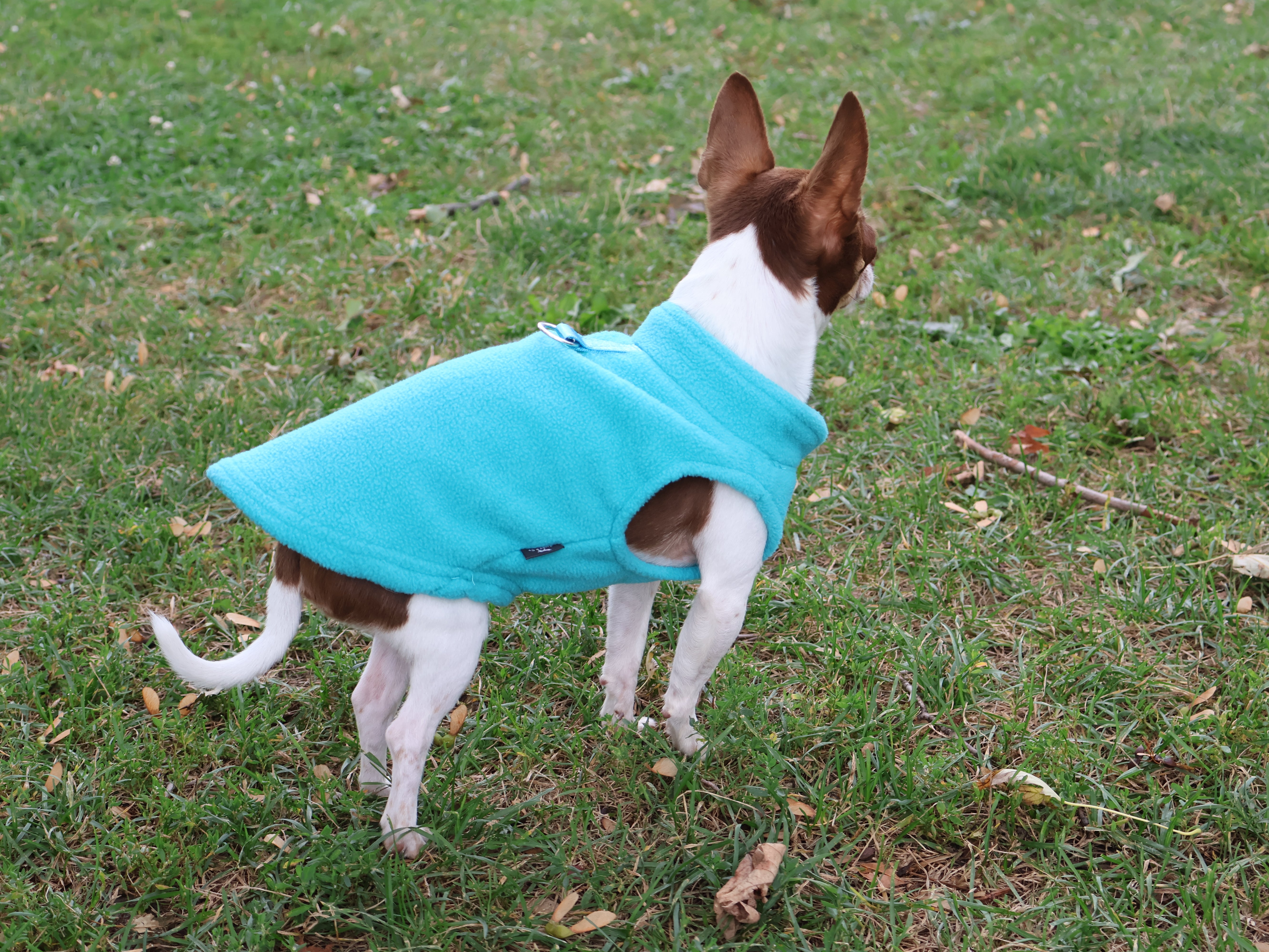 Fleece sweater 2024 for dogs