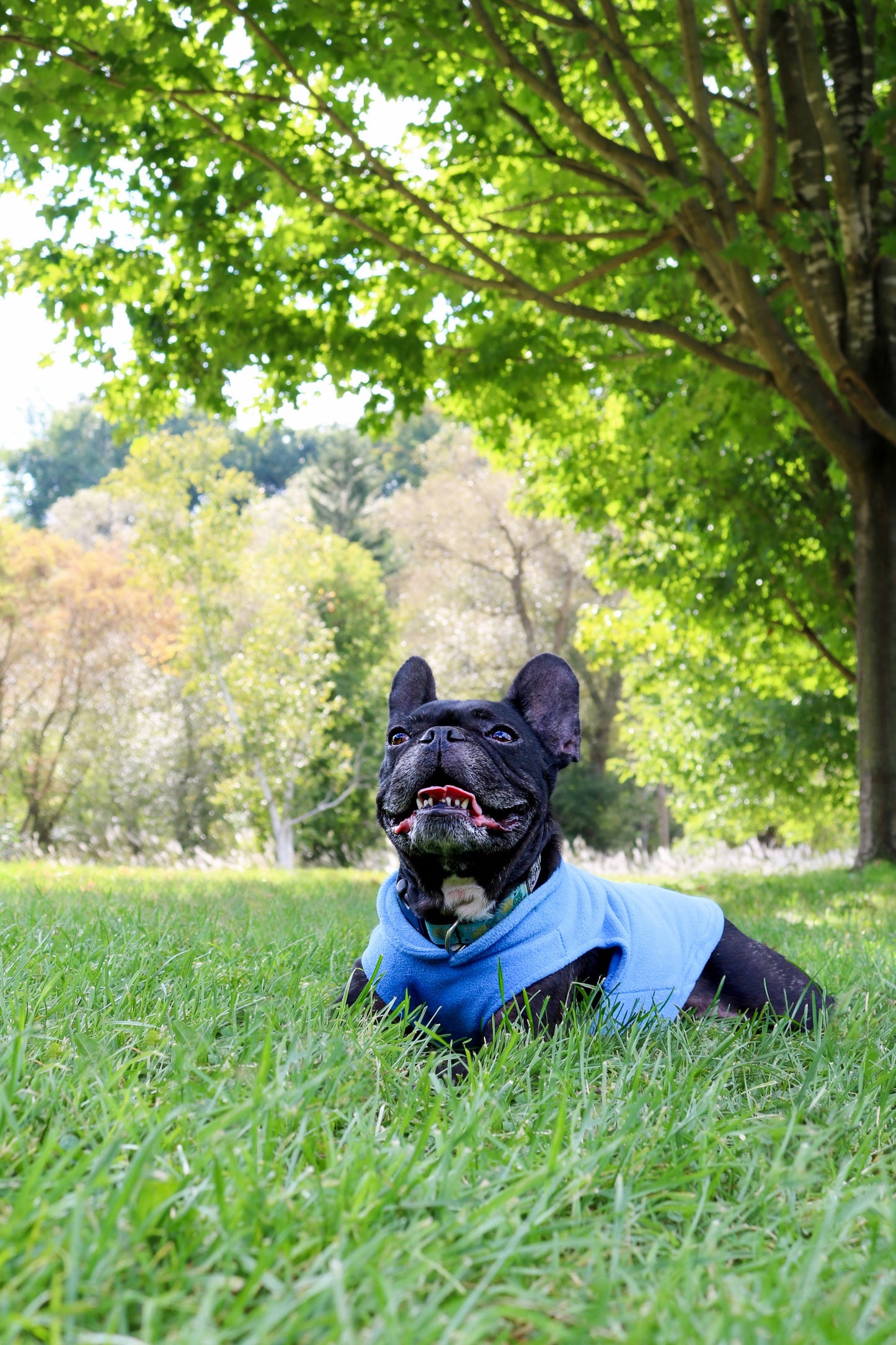 Dog Fleece Sweater with Leash Ring