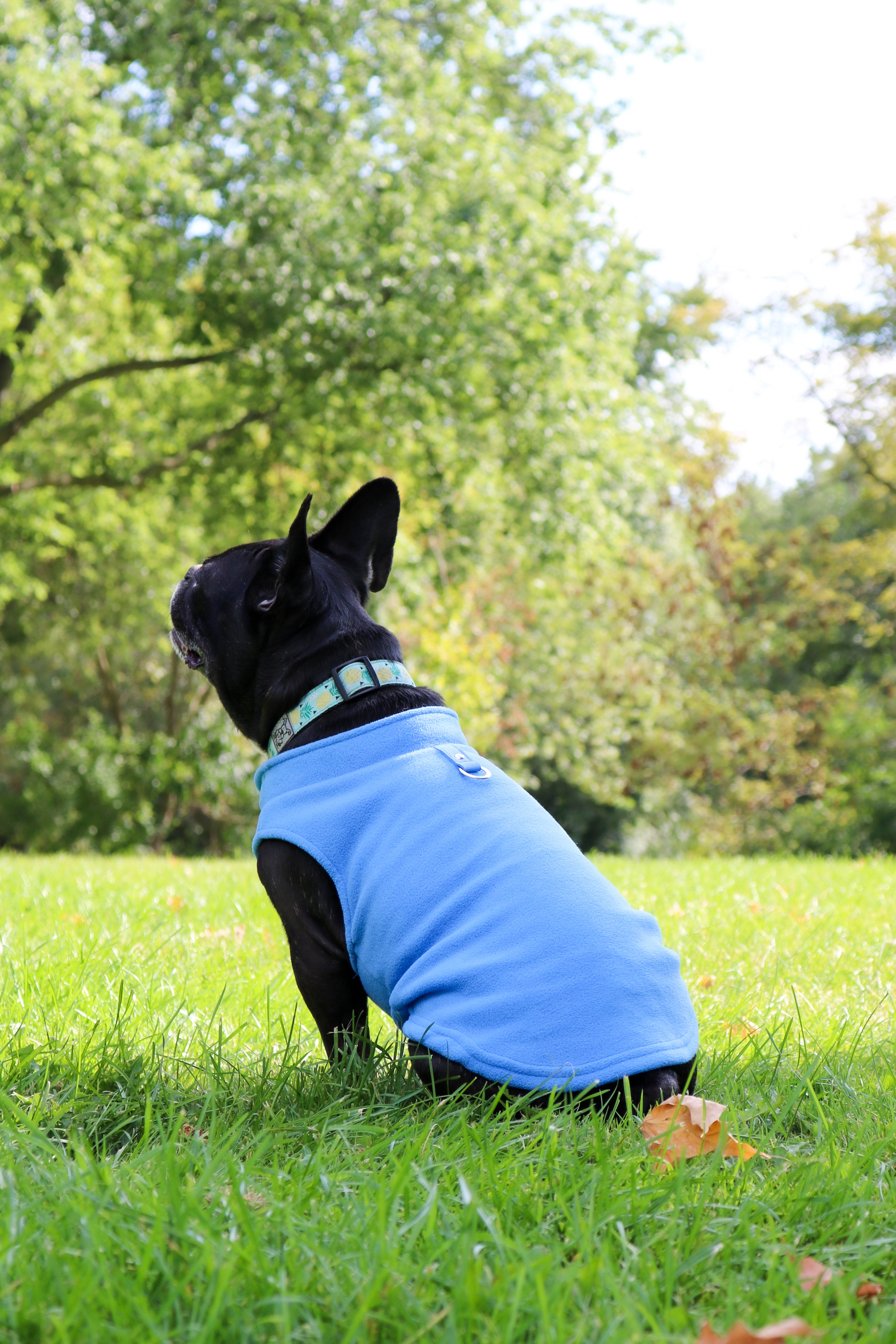 Fleece jacket with dogs on sale on