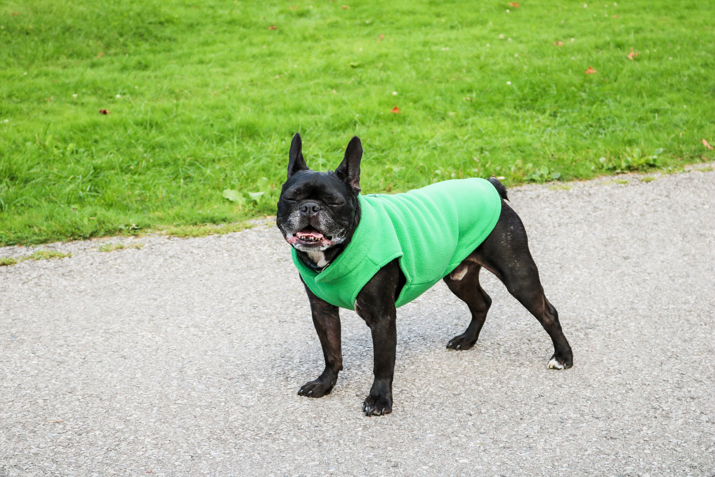 Dog Fleece Sweater with Leash Ring