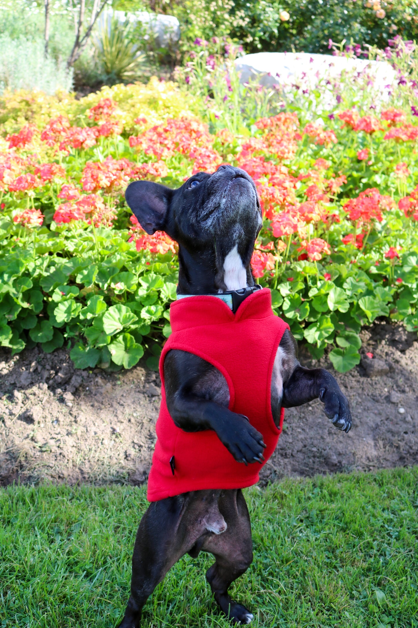 Dog Fleece Sweater with Leash Ring