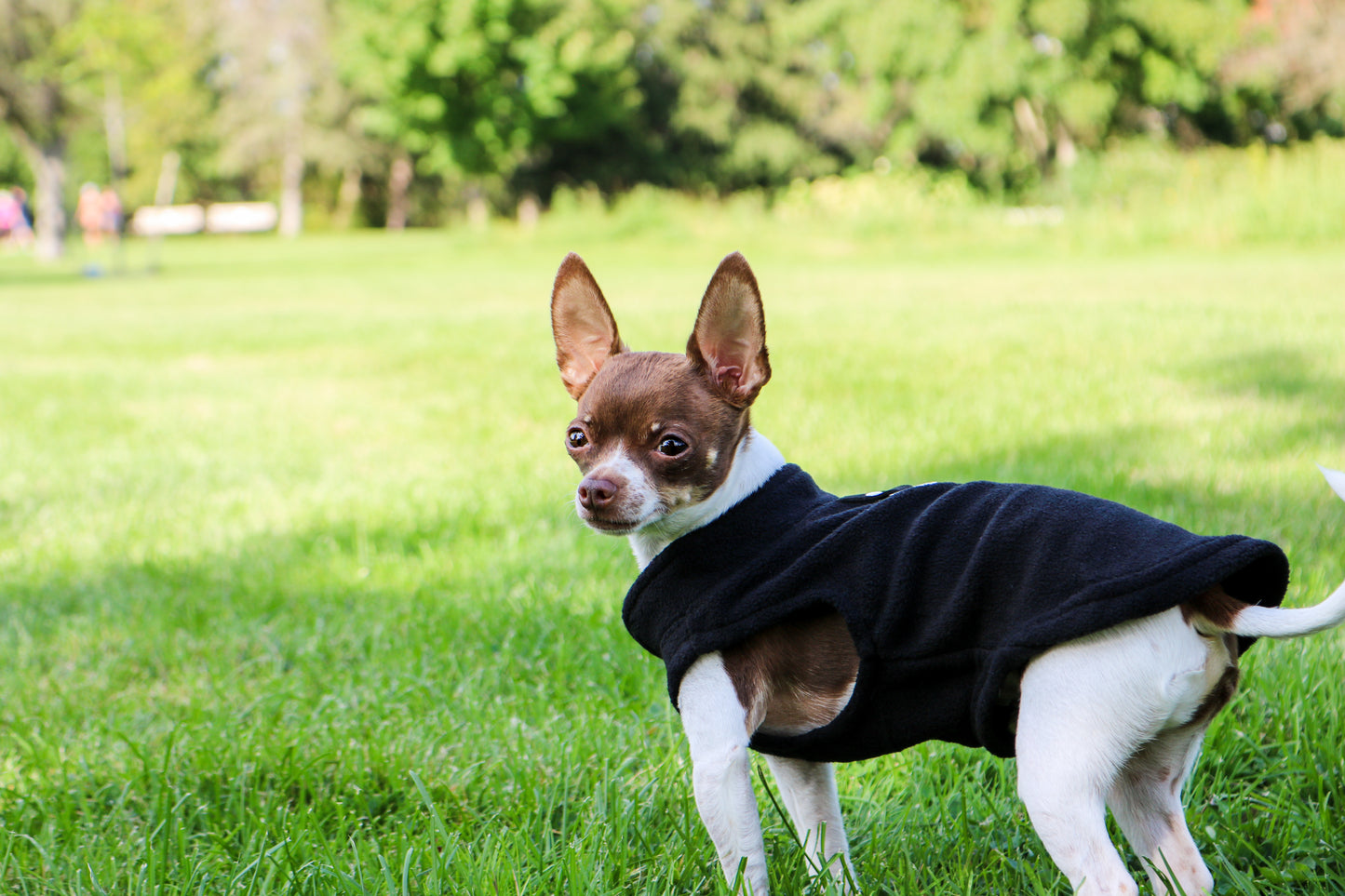 Dog Fleece Sweater with Leash Ring