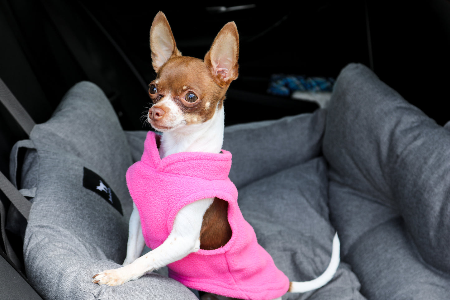 Dog Fleece Sweater with Leash Ring