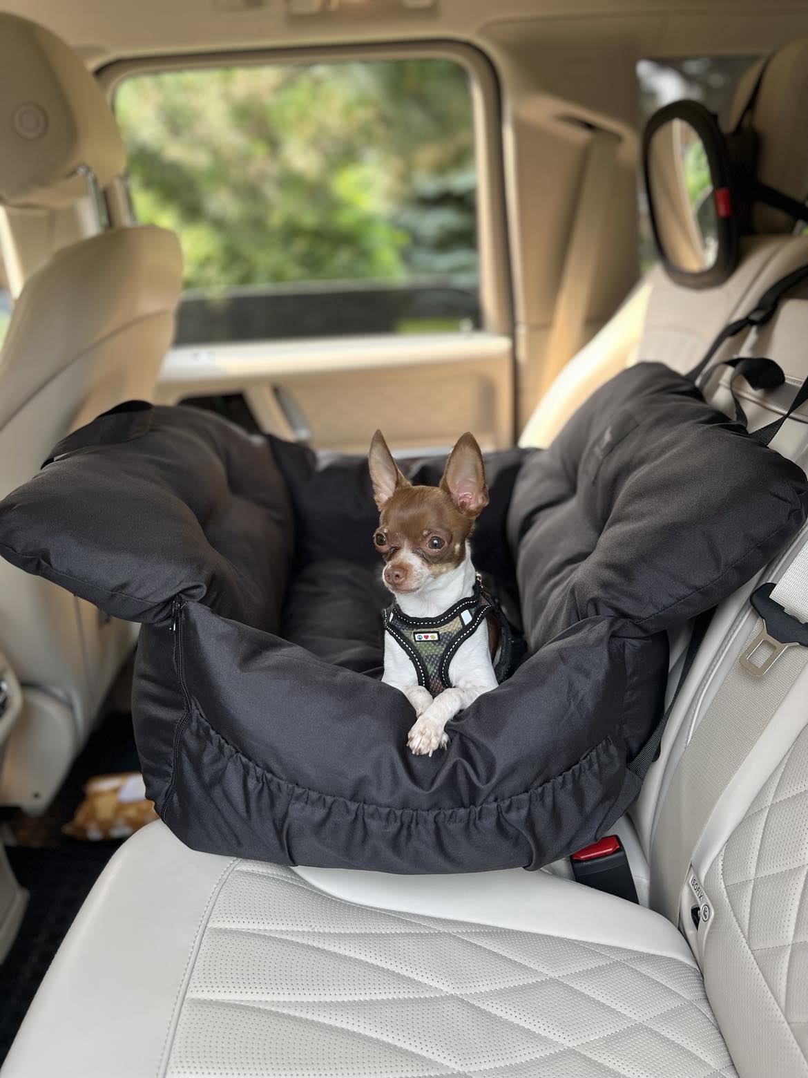 Dog car box seat best sale