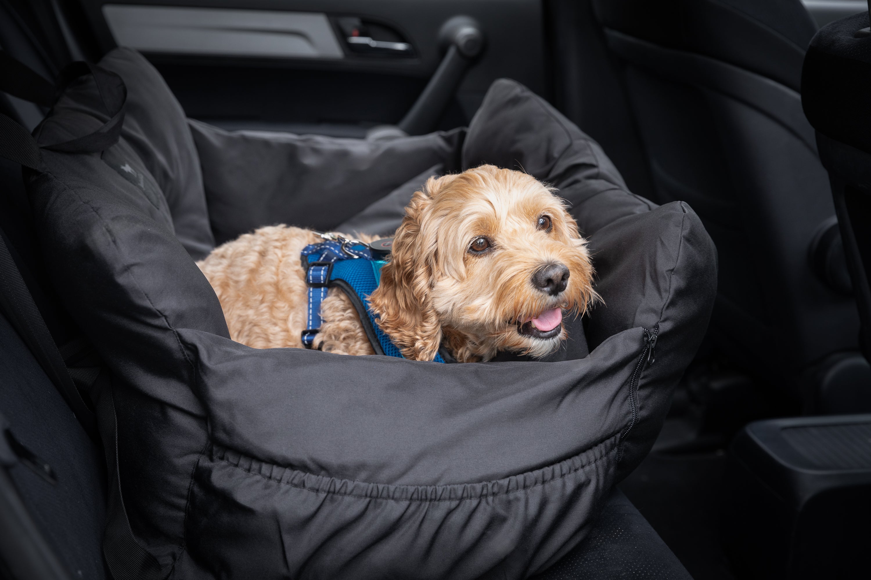 Jacko Co Premium Dog Car Seat Jacko Co