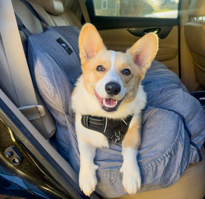 Premium Dog Car Seat