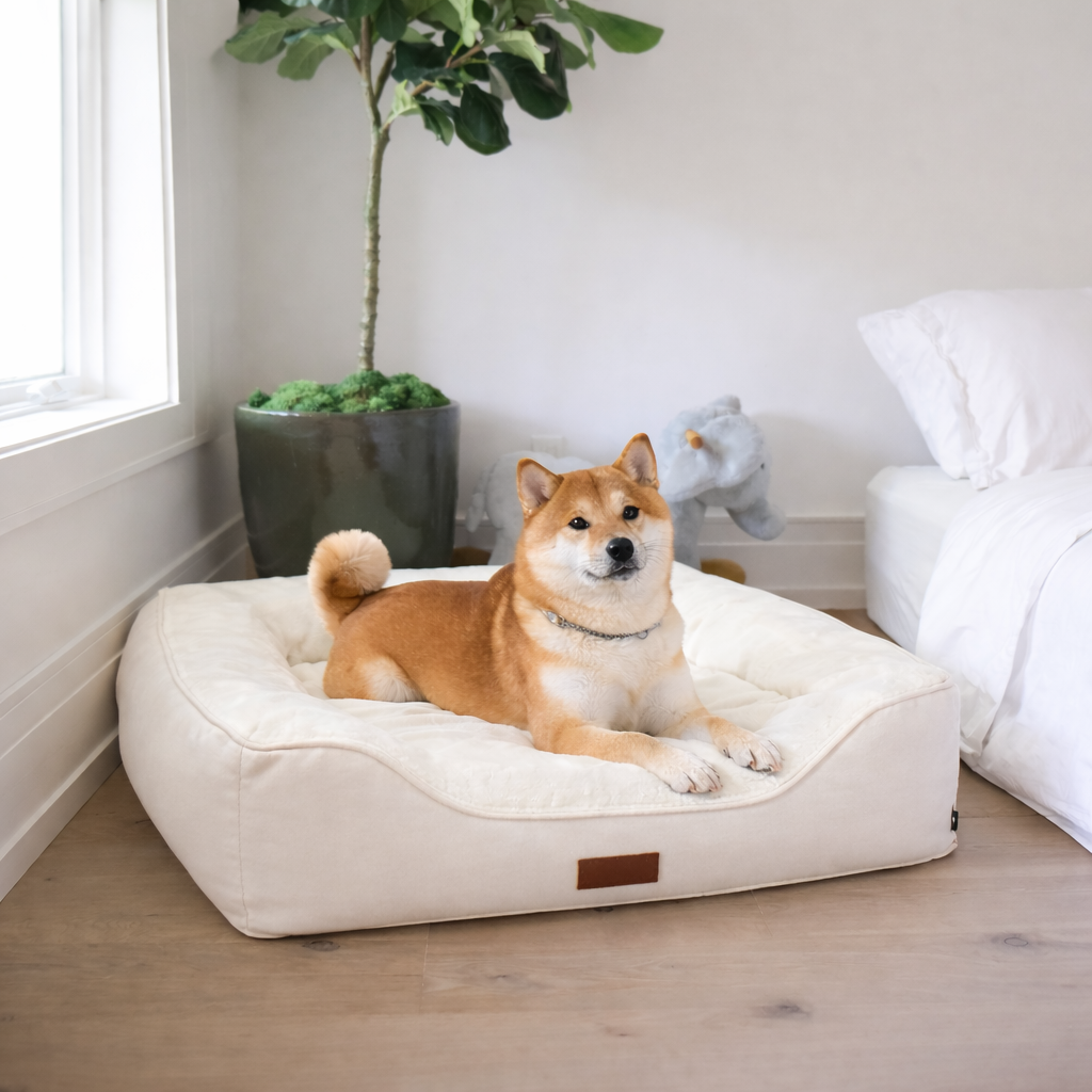 Jack and Co Ultra Comfort Dog Bed