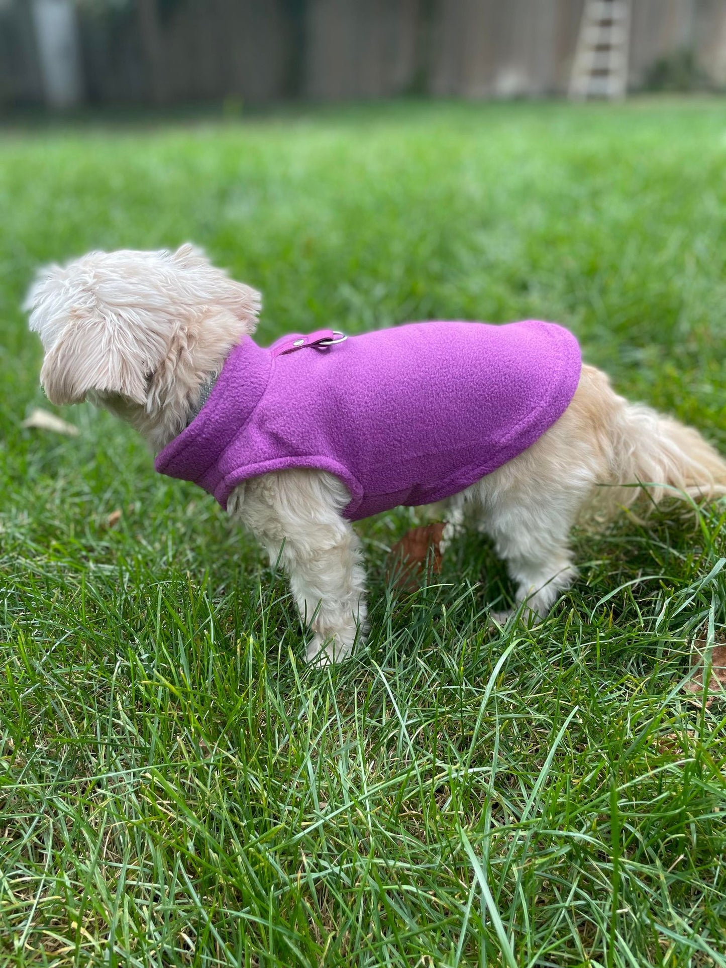 Dog Fleece Sweater with Leash Ring