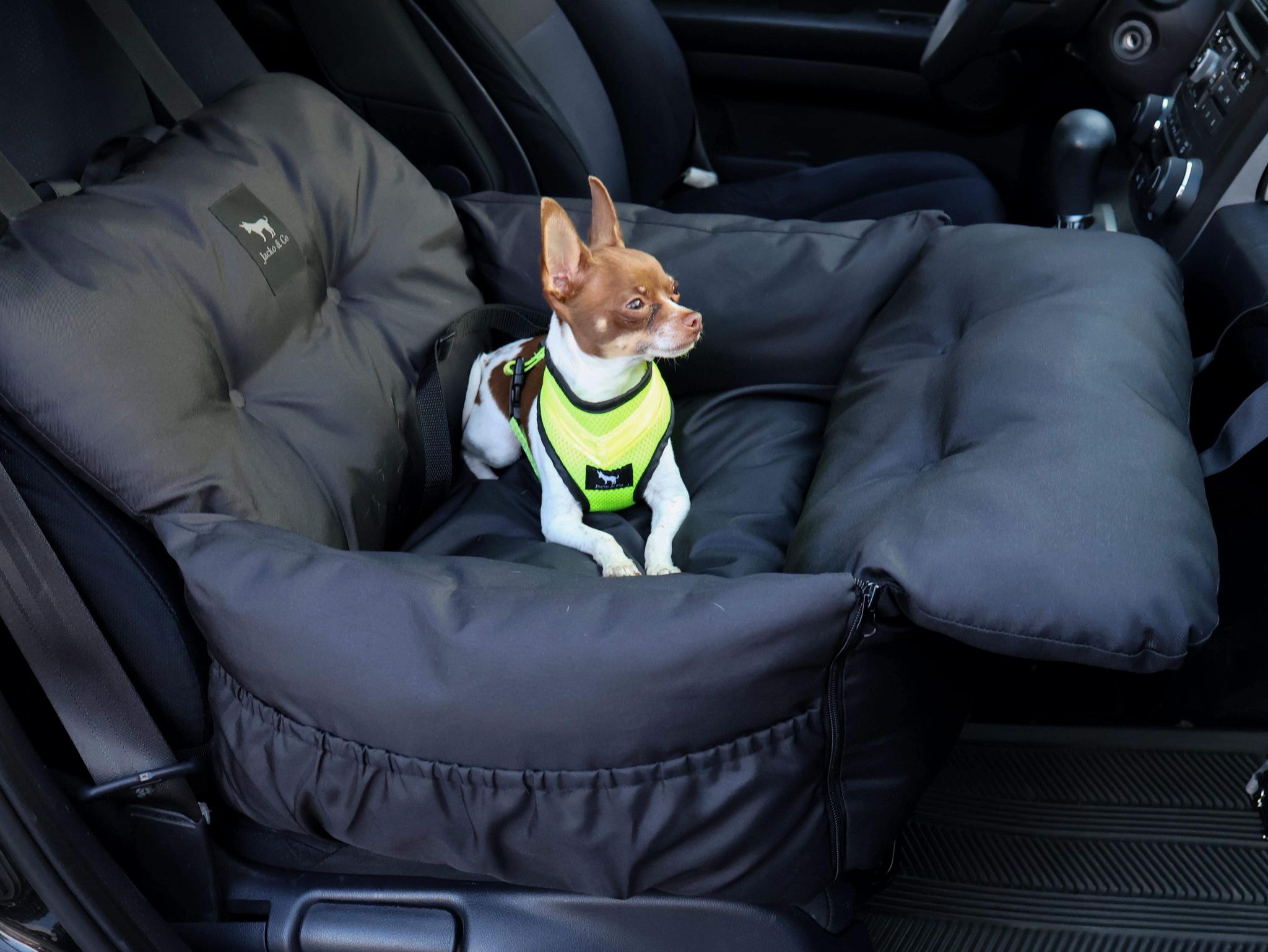 Dog booster seat outlet with harness