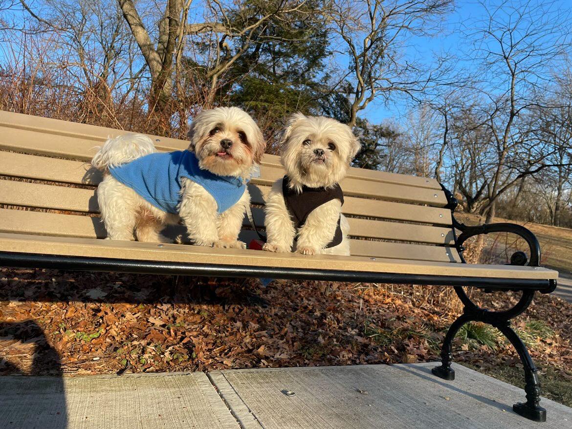 Dog Fleece Sweater with Leash Ring