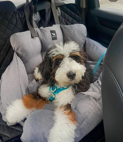 Premium Dog Car Seat