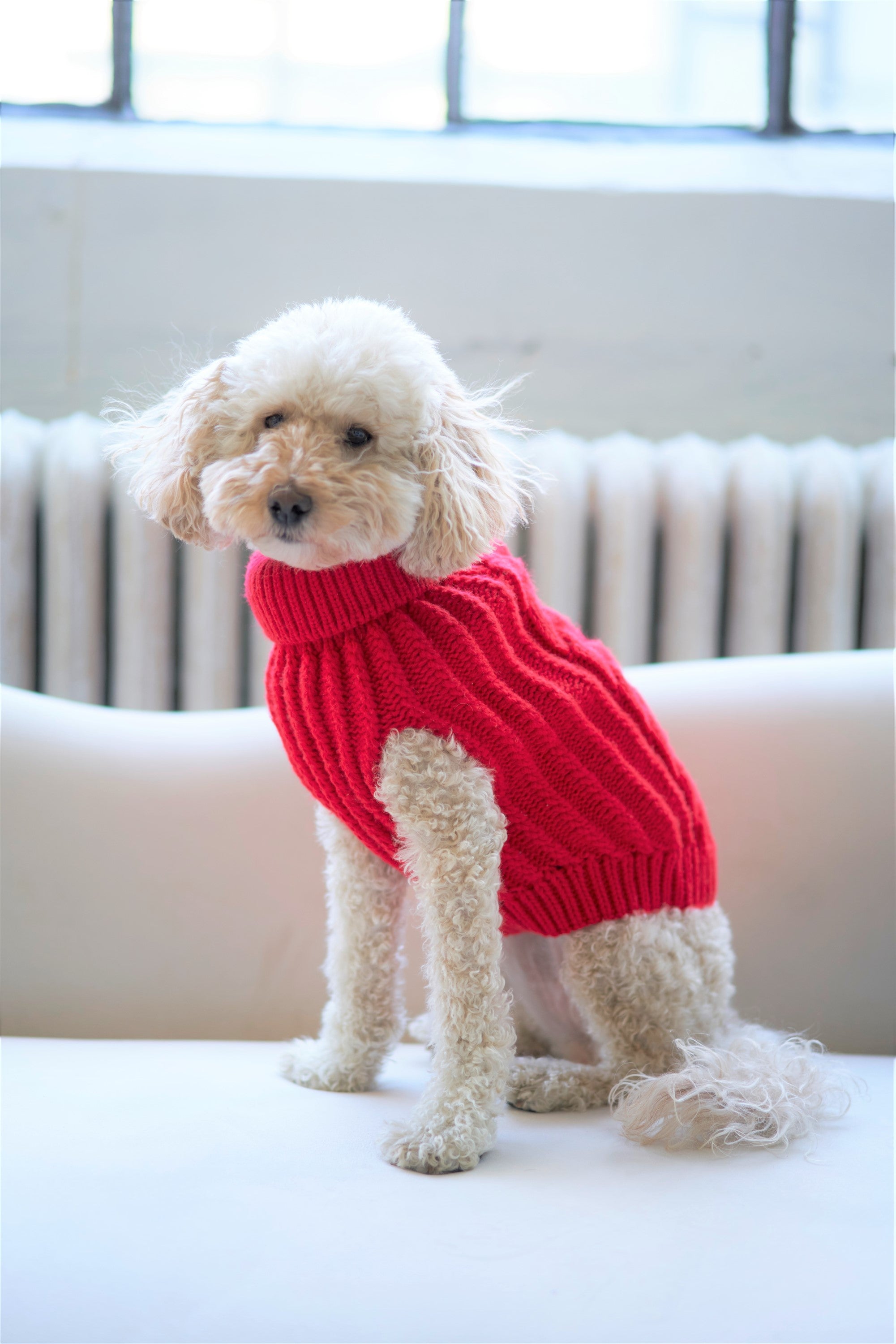 Pet Turtleneck Knit Sweater – Jacko Co - Main Image