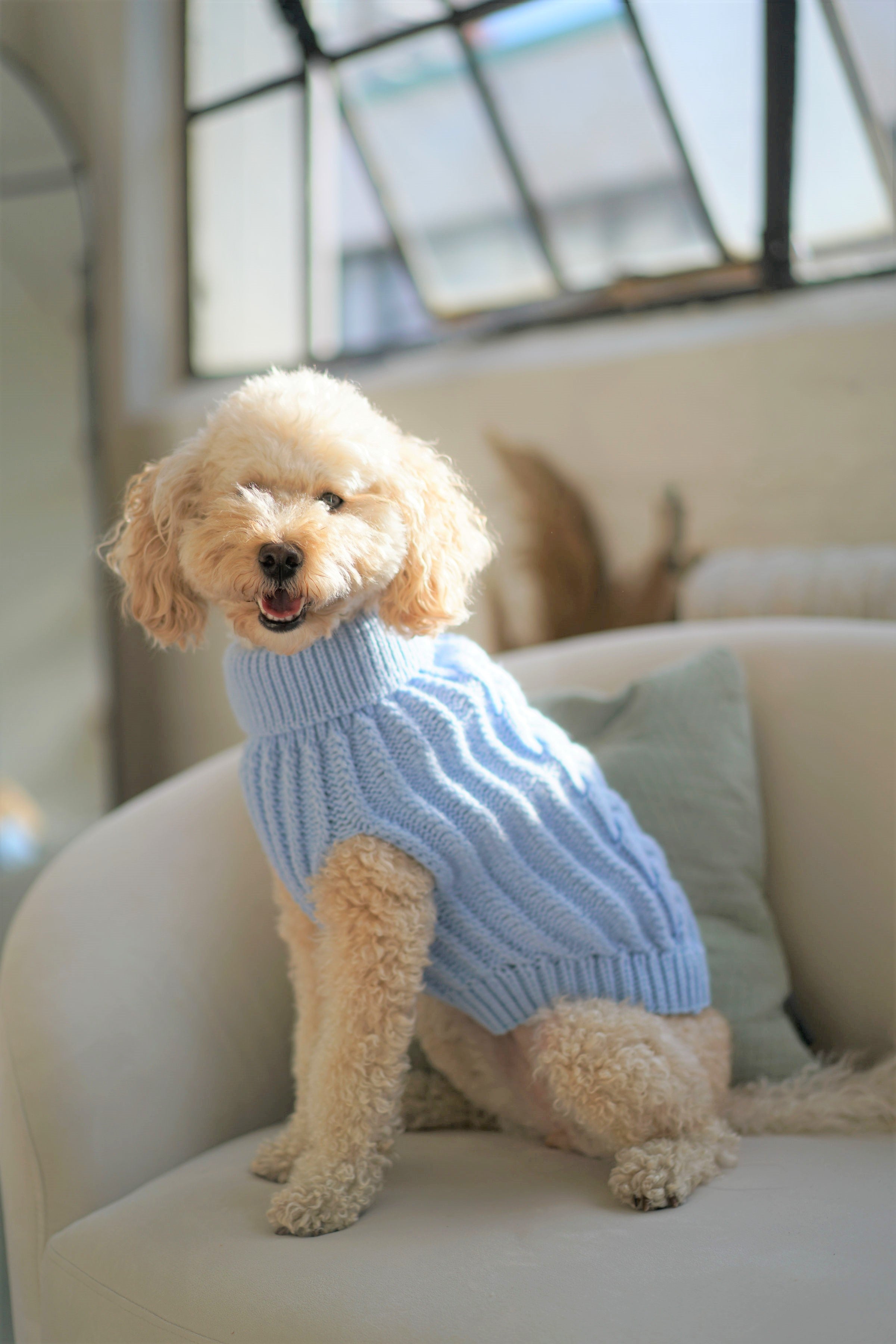 Dog turtleneck hot sale