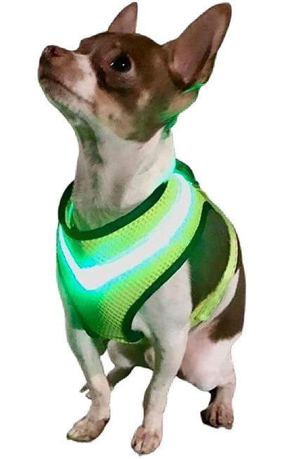 LED Dog Harnesses