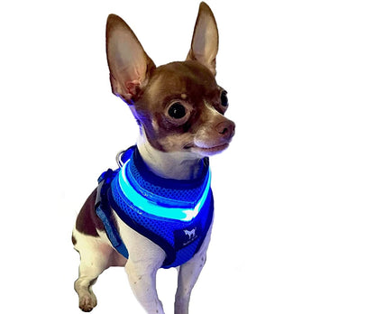 LED Dog Harnesses